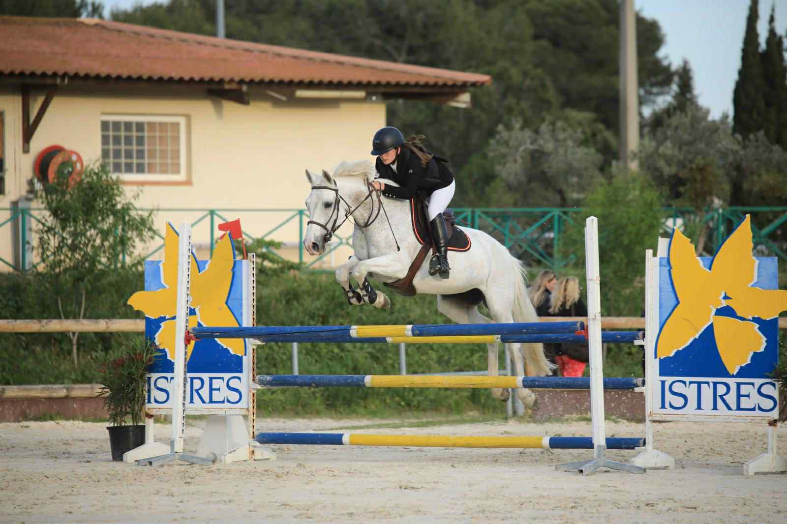 6ff67373-bbe6-498e-a655-7768038ad427 Saut d'obstacle 5